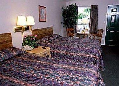 برانسون Surrey Inn الغرفة الصورة